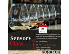 Sensory Class