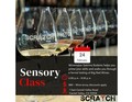 Sensory Class